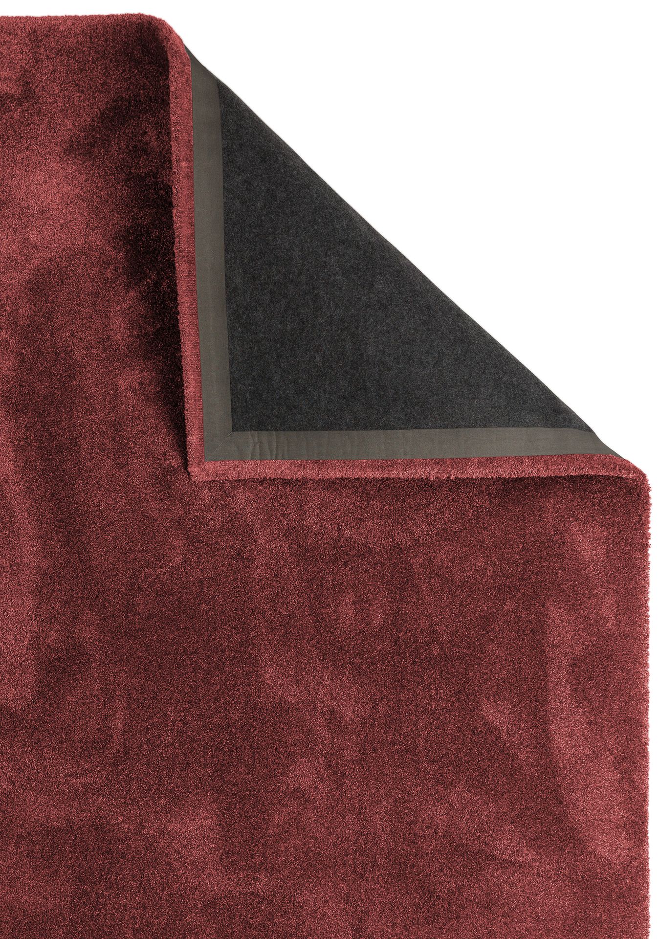 Urbana rot